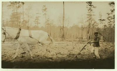 [Rader Copeland (Lake Park). He was plowing during school hours and…, Georgia, 1915