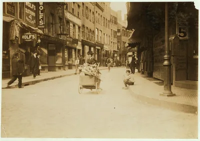 Boy Woodpicker Resting. Boston 1915 Exhibit.  Location: Boston,…, Massachusetts, 1909