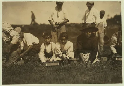 Lena Rose, 7 years old. Lives East Falmouth. Picks 6 to 9 measures a…, Massachusetts, 1911
