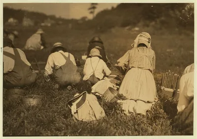 Young pickers on Swift's Bog. All working: including baby in…, Massachusetts, 1911