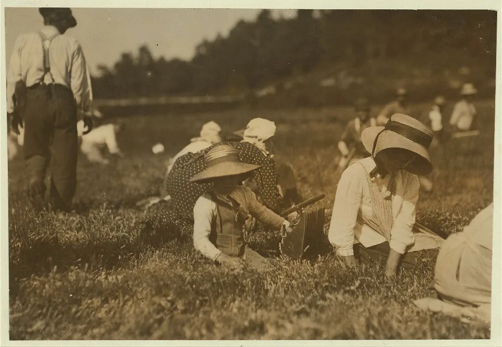 Belford Coldos, 27 Cannon St., New Bedford, Mass. 8 years old.…, Massachusetts, 1911