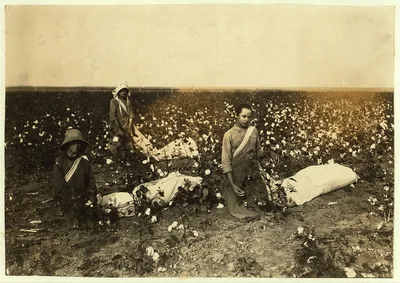 [Children of Mrs. Lawrence, a renter near Tinney, Okla. They go to…, Oklahoma, 1916