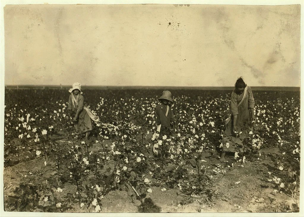 [Children of Mrs. Lawrence, a renter near Tinney, Okla. They go to…, Oklahoma, 1916