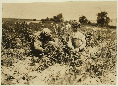 Johnnie Goldberg and father on a Rock Creek farm. Boy worked at Young…, Maryland, 1909