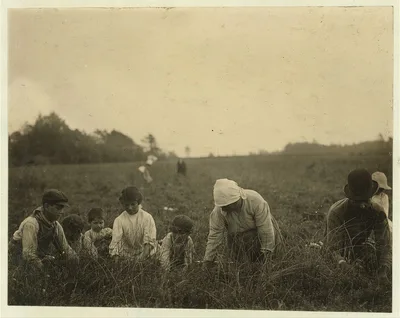 The Marnielli family. Forsythe's Bog, Turkeytown, near Pemberton,…, New Jersey, 1910