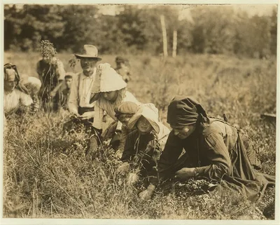 Marshintonio family. Forsythe's Bog, Turkeytown, near Pemberton, N.J.…, New Jersey, 1910