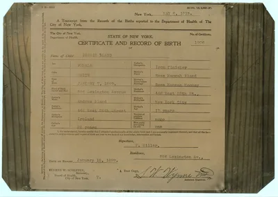 Birth certificate in the State of New York.  Location: New York…, New York (State), 1913