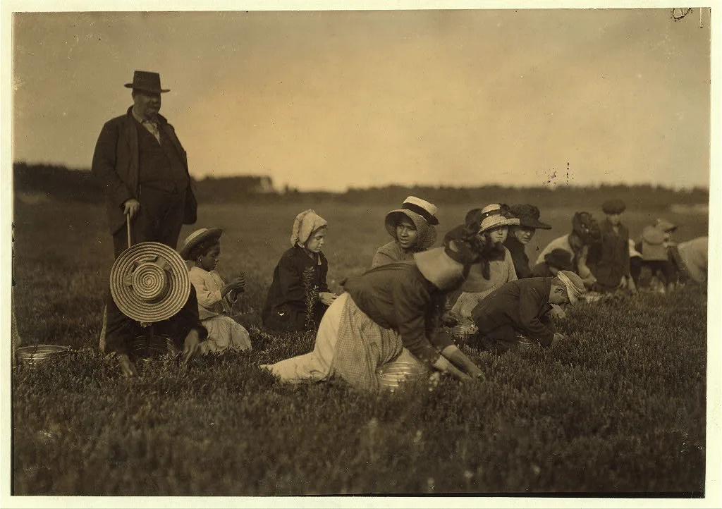 Group of Workers on Smart's Bog.  Location: South Carver [vicinity],…, Massachusetts, 1911