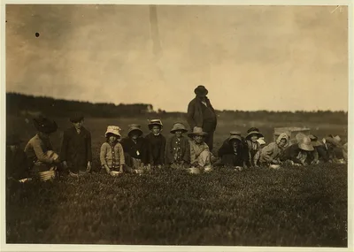 Group of workers on Smart's Bog.  Location: South Carver [vicinity],…, Massachusetts, 1911