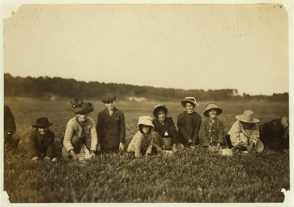 Group of Workers on Smart's Bog.  Location: South Carver [vicinity],…, Massachusetts, 1911