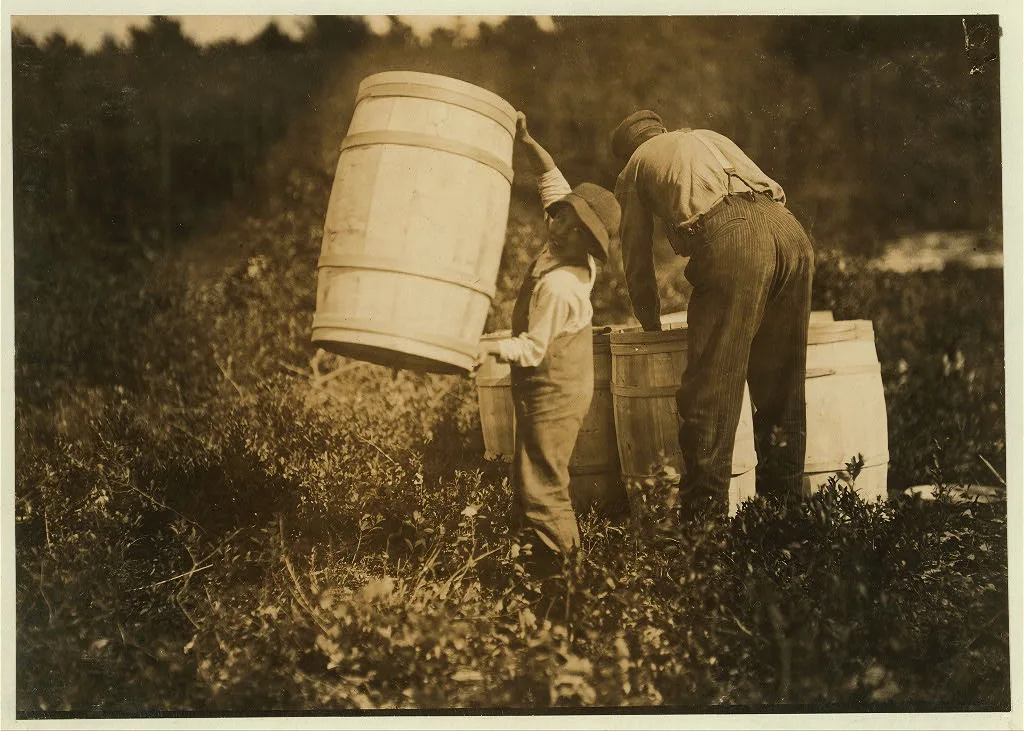 Boy who carries barrels. Robert Saunders, 10 years old. Lives Waquoit…, Massachusetts, 1911