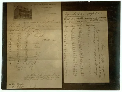 Reproduction New York State Factory Investigating Commission cannery…, 1913