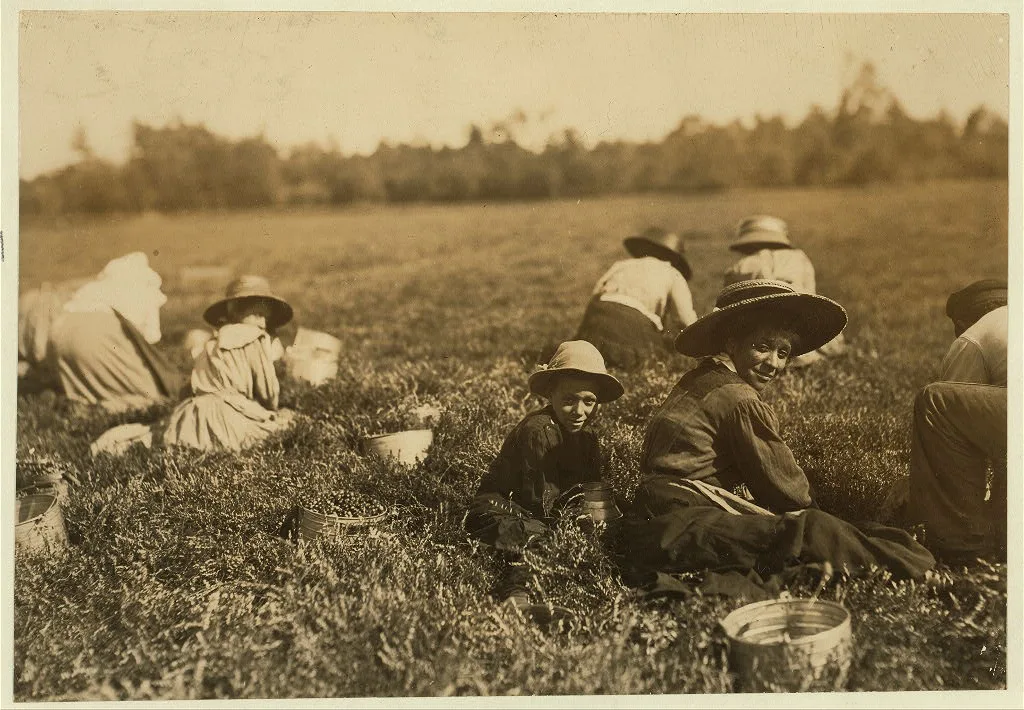 Walter Silva. Said 10 years old. Picks 3 or 4 pails a day. Location:…, Massachusetts, 1911