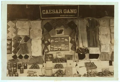 Caesar Gang Exhibit. Location: Charleston, West Virginia, 1921
