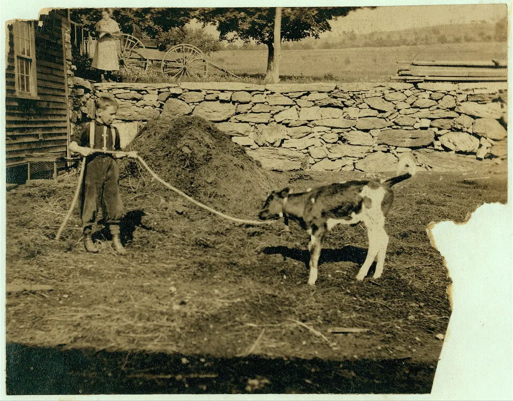 This is recreation for Jack. See Hine Report, Rural Child Labor,…, Massachusetts, 1915