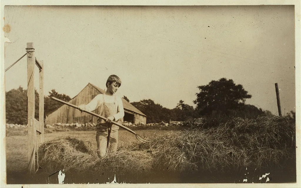 Carl Brown, eleven years old. He and his father run a farm of 160…, Vermont, 1915