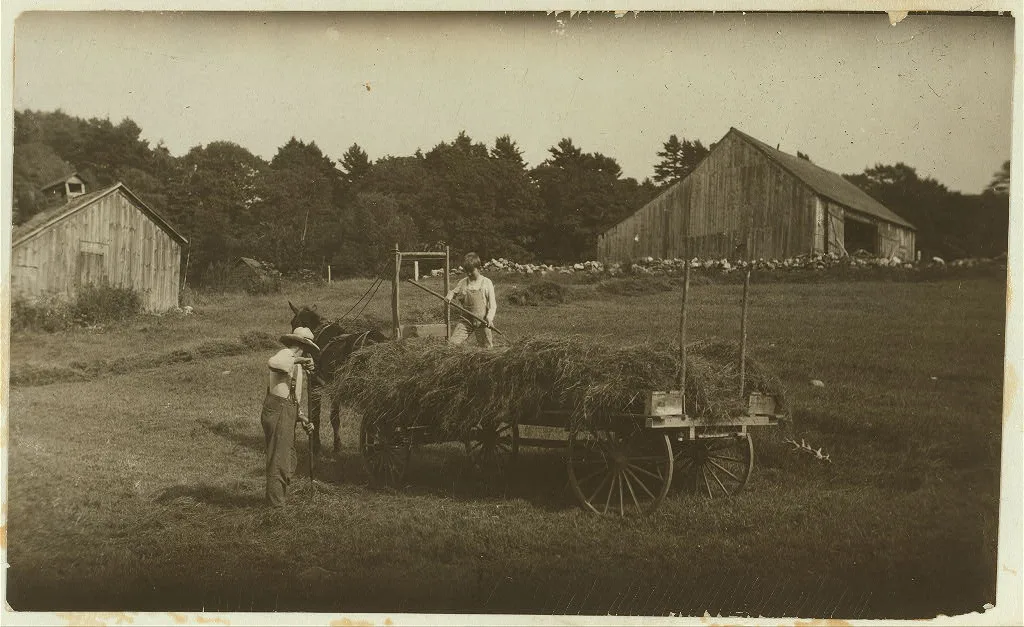 Carl Brown, eleven years old. He and his father run a farm of 160…, Vermont, 1915