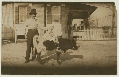 2 "yearlings" belonging to a South Georgia farmer. The former usually…, 1915