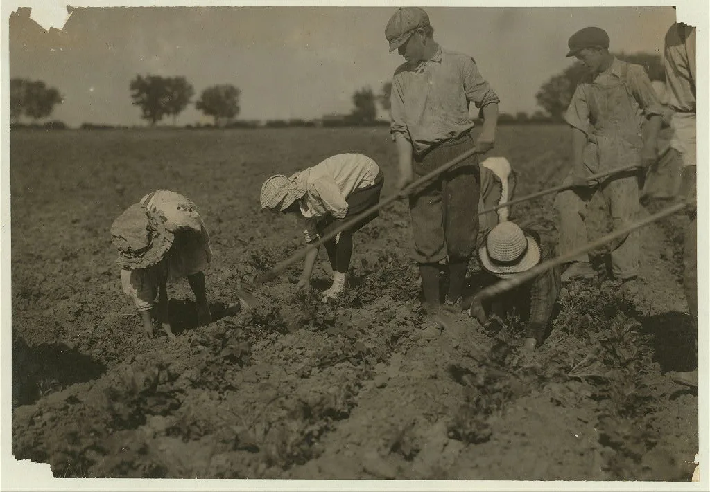 Three adults and six children from seven years to twelve years hard…, Colorado, 1915