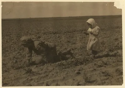 Eleven-year old Elizabeth who has been working in the sugar beets…, Colorado, 1915