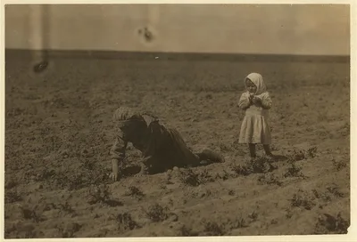 [Eleven-year old Elizabeth who has been working in the sugar beets…, Colorado, 1915