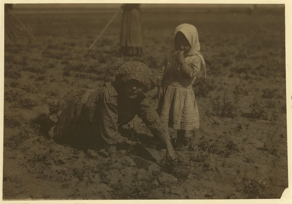 [Eleven-year old Elizabeth who has been working in the sugar beets…, Colorado, 1915
