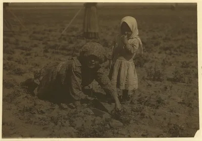 [Eleven-year old Elizabeth who has been working in the sugar beets…, Colorado, 1915