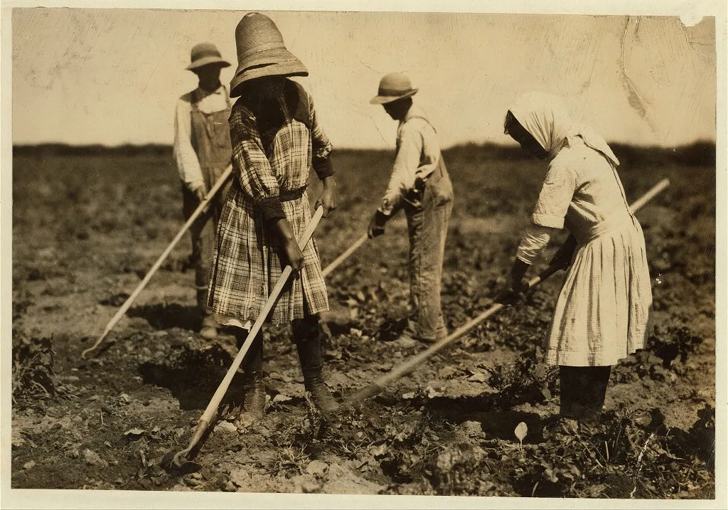 [Beet workers, ten years, twelve years, fourteen years and eighteen…, Colorado, 1915