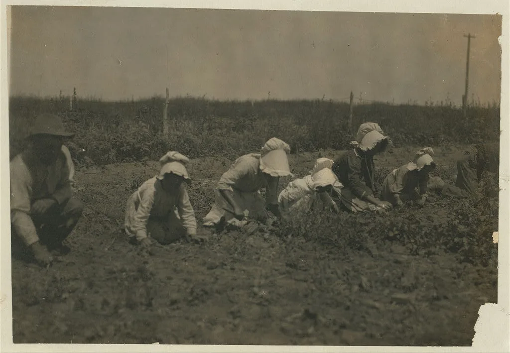 Sugar beet workers, Sugar City, Colorado. Mary, six years, Lucy,…, 1915