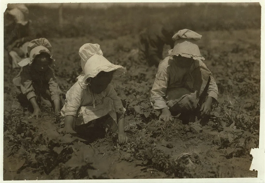 [Sugar beet workers, Sugar City, Colorado. Mary, six years, Lucy,…, 1915