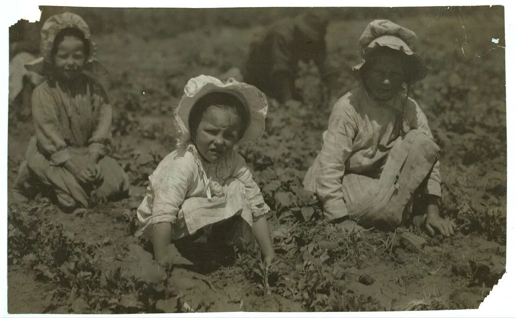 [Sugar beet workers, Sugar City, Colorado. Mary, six years, Lucy,…, 1915