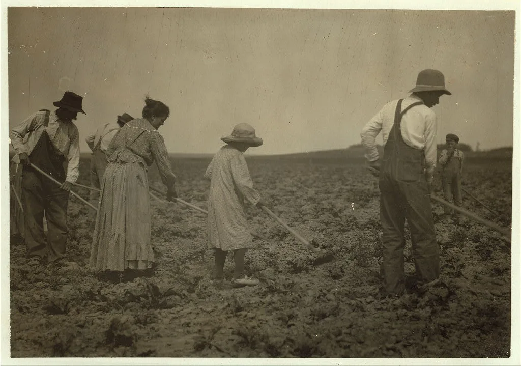 Families of Henry and John Miller: boy of eleven years, girl of…, Colorado, 1915