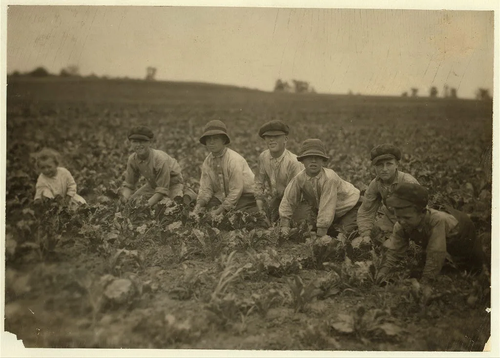 All these children were working in the sugar beets for Louis Startz,…, Wisconsin, 1915
