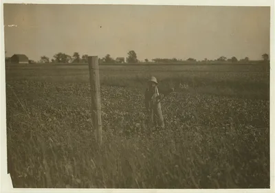 Henry Kaiser, twelve-year old beet worker from Potter, Wisconsin,…, 1915