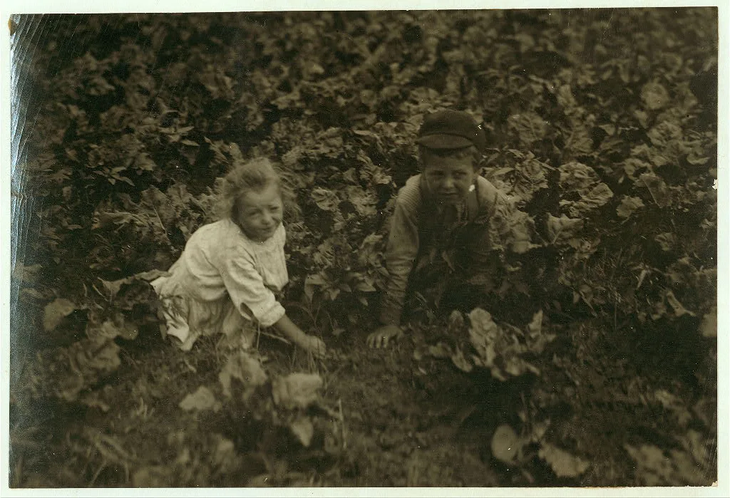 Six-year old Henry and three-year old Hilda, beet workers on a…, Wisconsin, 1915