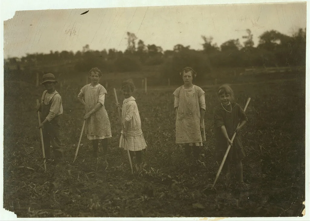 Group of children, 7-9-11-13-14 years old, hoeing corn for father on…, Wisconsin, 1915