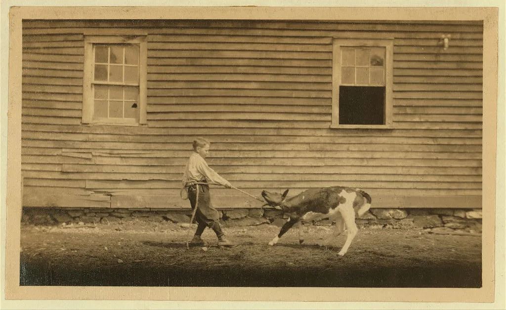 This is recreation for Jack. See Hine Report, Rural Child Labor,…, Massachusetts, 1915