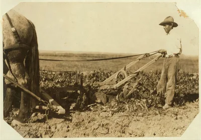 Photograph from Colorado: A Deere pulling machine, two horses. These merely…