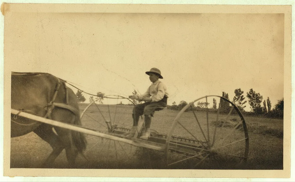 [Eight-year old Jack driving horse rake. A small boy has difficulty…, Massachusetts, 1915