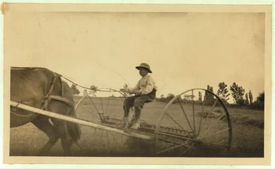 [Eight-year old Jack driving horse rake. A small boy has difficulty…, Massachusetts, 1915