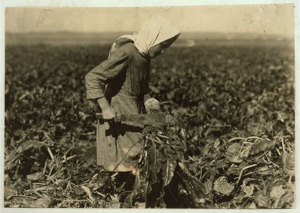 Eight-year-old girl (see label 4006). She is very skilful [sic]…, Colorado, 1915