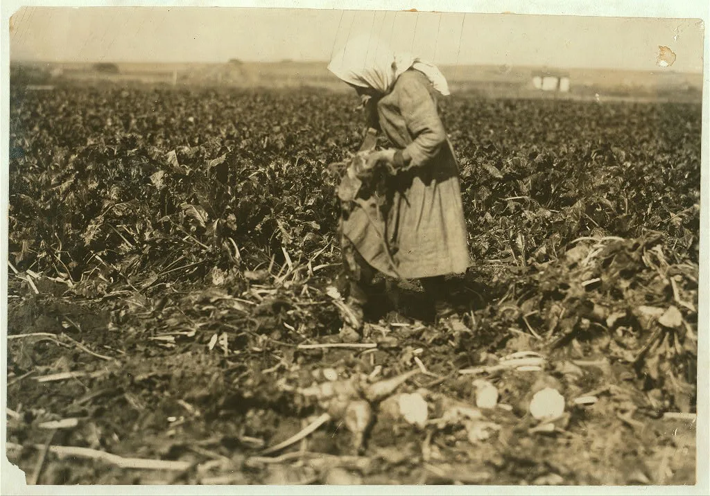 [Eight-year-old girl (see label 4006). She is very skilful [sic]…, Colorado, 1915