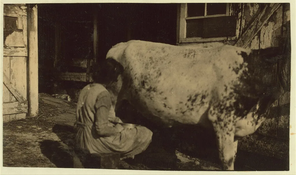 [Series showing the day's work of Estelle and Felix Humphrey. See…, Kentucky, 1916