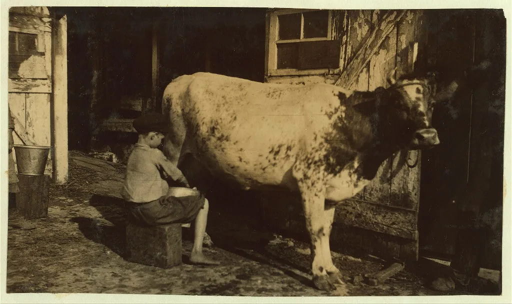 [Series showing the day's work of Estelle and Felix Humphrey. See…, Kentucky, 1916