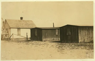 [Views of "The Jungle," in Ft. Collins, the section in which the beet…, Colorado, 1915
