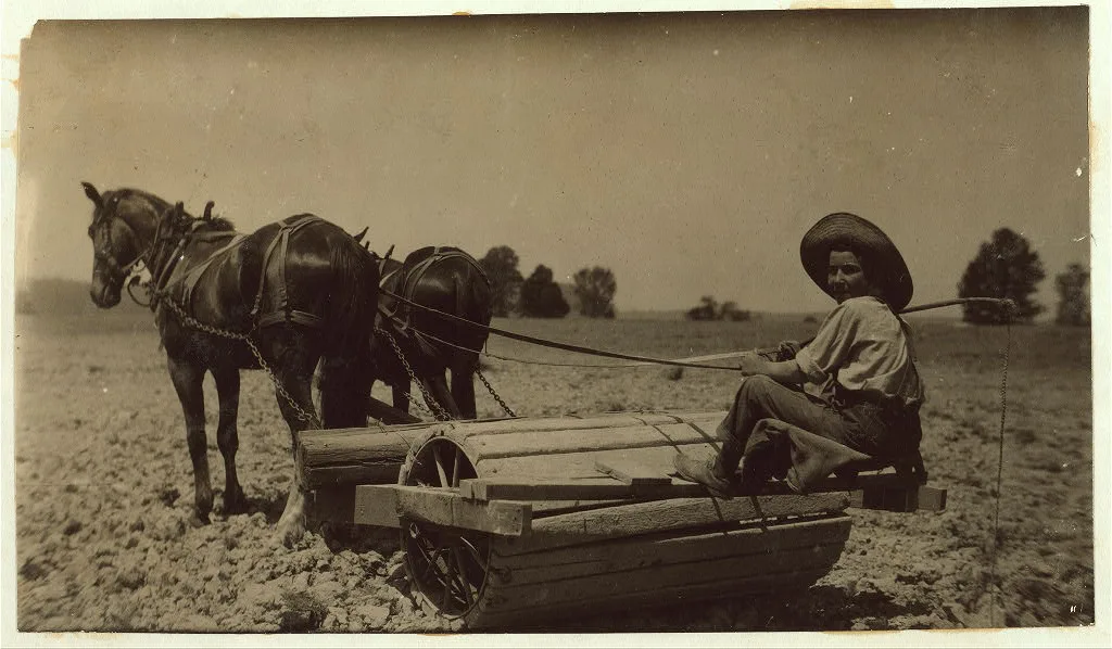 [Harry Dewitt driving a roller on his father's farm. See report.] …, Kentucky, 1916