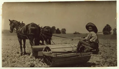 [Harry Dewitt driving a roller on his father's farm. See report.] …, Kentucky, 1916
