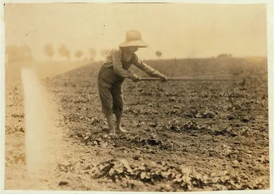 Conrad Elrod, R 3, hoeing strawberries.  Location: Warren…, Kentucky, 1916