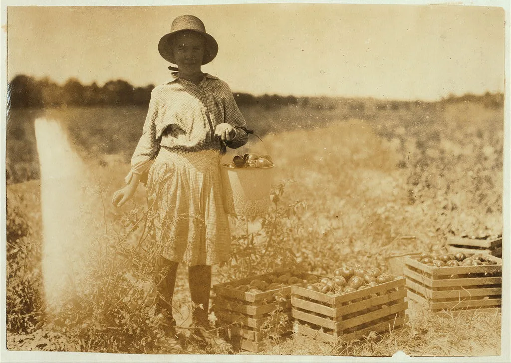 10-year old girl picking tomatoes on farm of W.T. Hill.  Location:…, Missouri, 1916