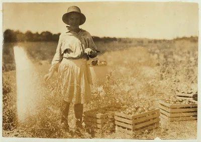 10-year old girl picking tomatoes on farm of W.T. Hill.  Location:…, Missouri, 1916